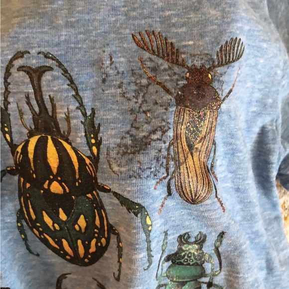 SOLD! H&M Beetle Bug Short Sleeve T-Shirt Boy Girl Size 4-6 - Picture 6 of 6